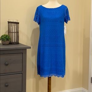 Maggy London Blue Lace Dress